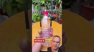 REGADOR AUTOM&Aacute;TICO COM GARRAFA PET! #gotejamento #jardim #plantas #regador #irrigacao