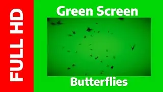 Green Screen Effect Butterflies - Full HD / 1080p