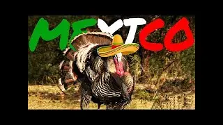 Mexico Day 9 10 Christmas Day Turkey