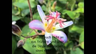 mit Jesus neu beginnen