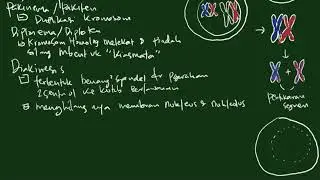 Meiosis