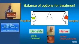 Prof. Arthur Sun Myint  Liverpool, UK