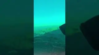 Jebel Hamri at Fujairah - off-roading