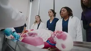 Biomedical Sciences &mdash; Where Ambition meets Precision