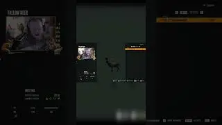 Эта фидерная стратегия просто БЕЗУМНАЯ! #cotw #thehunter #shorts #thehunter #hunting #greatone #t...