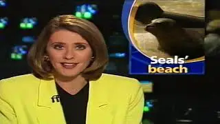 TV News Report - Seals' Beach, Channel 10, 1997.