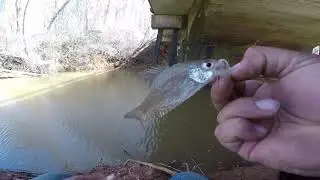 Ultralight crappie fishing (mini trout magnet)