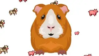 Cavia liedje kleuters