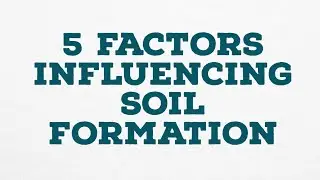 5 FACTORS INFLUENCING SOIL FORMATION