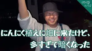 夜までかかった、にんにく植えるVlog。