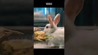 Symbiote&rsquo;s First Test Survives🐇👽 | Venom Lab Experiment | Venom 2018 | Rabbit Survives the Symbiote
