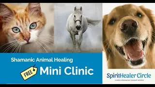 Shamanic Animal Healing Mini Clinic 11-2024