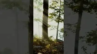 8k video ultra hd