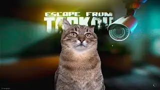 Я всё понимаю #escapefromtarkov #eft #tarkov