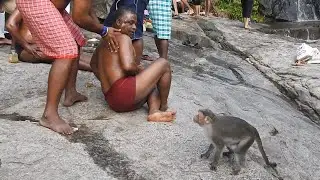 Monkey Falls at Valpparai - Tamilnadu