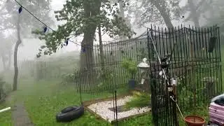 Forest City Iowa 4.5