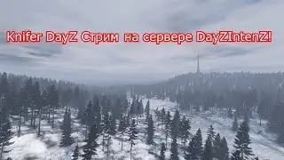 Knifer (FCTW) DayZ стрим на проекте DayZIntenZ |  1PP |  Syberia Project 