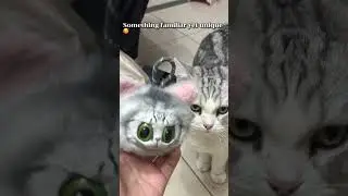 Meet the custom doll cat pendant and the cats 🐈✨
