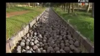 Histoire Antique - Rome 1/2 - Ambition et Conqu&ecirc;te
