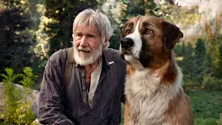 The Call of the Wild Full Movie Recap