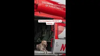Arson dog retires after 5 years of dedicated service