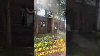 #heritage #architecture #heritagebuilding #flagstaff #flagstaffaz #pinetrees #rad #stonehouse #pines