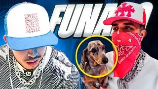 ME VAN A FUNAR POR DECIR ESTO DE MI PERRO 🤣 | WESTCOL