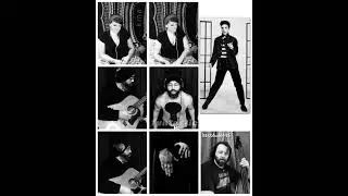 Mystery Train ~ Elvis Presley Cover