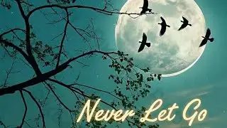🖤 Never Let Go — Original Song Inspired By K-pop vibes (Different Vibe)
