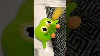 Duo Owl Funny IRL Chaos 😂 Неожиданная концовка изменила всё