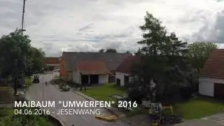 Maibaum 