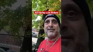 Huge Design issue on low riders