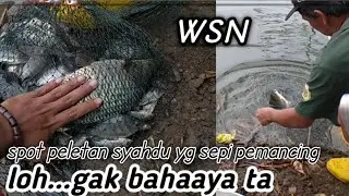 Mancing Ngantang umpan pelet di spot yg super syahdu #mancing #mancingngantang #fishing