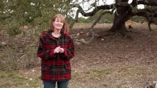 Dripping Springs Presbyterian Church: Sowing the Seeds