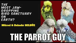 Unleashing the World's Best Aviary: M&uuml;rsel & Bahadır SELB&Uuml;Z.