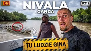 SRI LANKA: NIVALA GANGA + TU LUDZIE GINĄ PRZEZ KROKODYLE