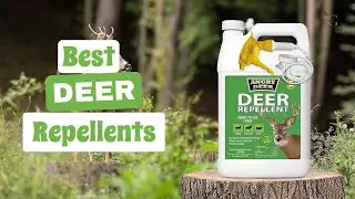 Choosing the Best Deer Repellents: Protect Your Garden and Property | The Guardians Choice