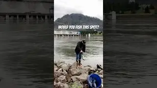 This Bonneville Dam Spot Looks Dead&hellip; Until It Isn&rsquo;t 🎣