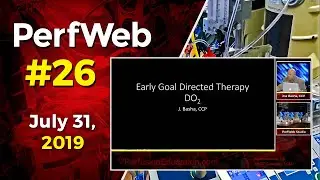 PerfWeb 26 Целенаправленная терапия. Доставка кислорода (DO2). Гемодинамика.
