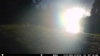 2024 Western Washington State (Marysville) Trail Cam Video: The Bridge
