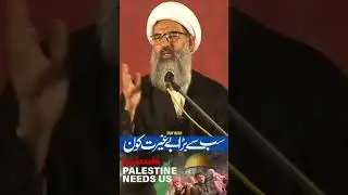 #freedom of religion#religious freedom#religion#freedom of Islam