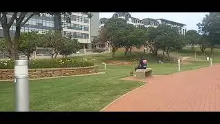 This Park at Umhlanga is Beautiful & Welcoming! - Durban KwaZulu-Natal 🇿🇦
