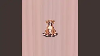 Canine Flow
