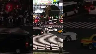 Tokyo street crossing #tokyo #Japan #traffic #rushhour