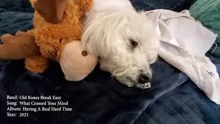Old Bones Break Easy - What Crossed Your Mind (Bert video)
