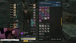 Nolyn Healer on Castle of Steel