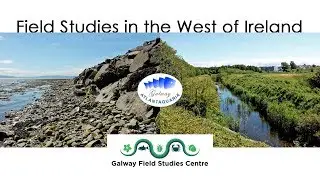 Galway Atlantaquaria, See the Sea