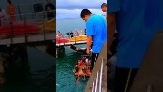 Playa Los Muertos pier