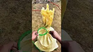 This Knot is Very Useful 💯