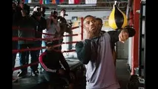 Creed Universe Tv Series Delphi Ordered by Amazon!